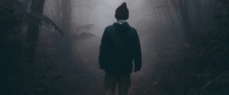 what you can't see button